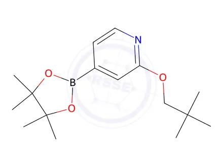 Chemical structure of 2-(Neopentyloxy)-4-(4,4,5,5-tetraMethyl-1,3,2-dioxaborolan-2-yl)pyridine