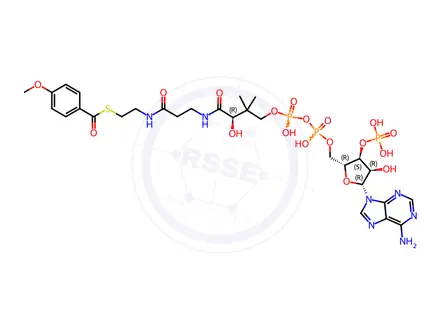 Chemical structure of Tetracaine Impurity 41