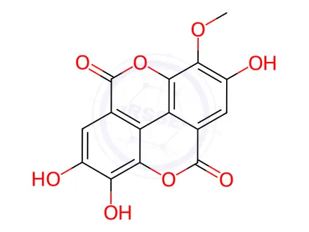 Chemical structure of 3-Methyl ellagic acid