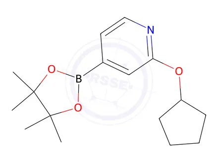 Chemical structure of 2-(cyclopentyloxy)-4-(4,4,5,5-tetramethyl-1,3,2-dioxaborolan-2-yl)pyridine
