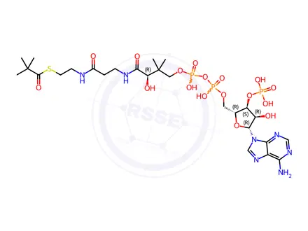 Chemical structure of Coenzyme A Impurity 42 (Pivaloyl CoA)