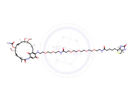 Chemical structure of Geldanamycin-Biotin