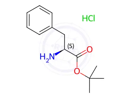 Chemical structure of L-Phenylalanine tert-Butyl Ester Hydrochloride