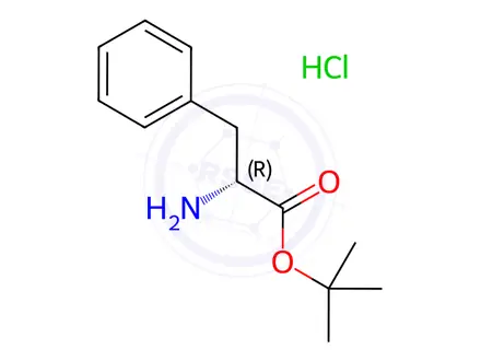 Chemical structure of D-Phenylalanine tert-Butyl Ester Hydrochloride
