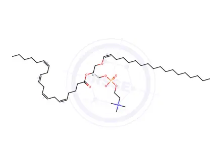 Chemical structure of 1-(1z-octadecenyl)-2-arachidonoyl-sn-glycero-3-phosphocholine