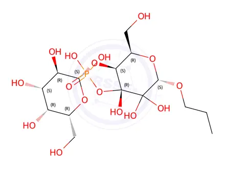 Chemical structure of capsular polysaccharide type 7, Actinobacillus pleuropneumoniae