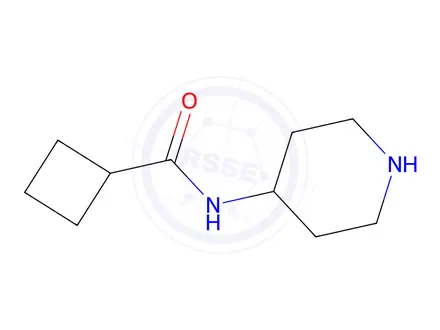 Chemical structure of N-(piperidin-4-yl)cyclobutanecarboxamide