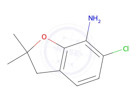 Chemical structure of 6-chloro-2,2-dimethyl-2,3-dihydro-1-benzofuran-7-amine