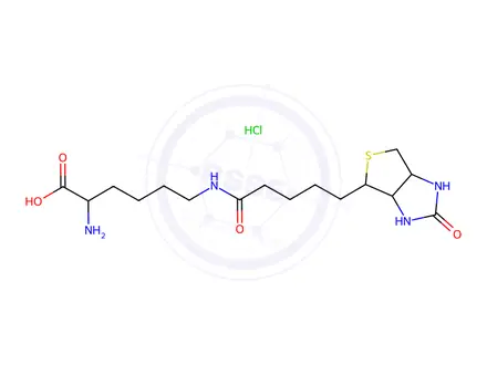 Chemical structure of (S)-2-amino-6-(5-((3aS,4S,6aR)-2-oxohexahydro-1H-thieno[3,4-d]imidazol-4-yl)pentanamido)hexanoic acid hydrochloride