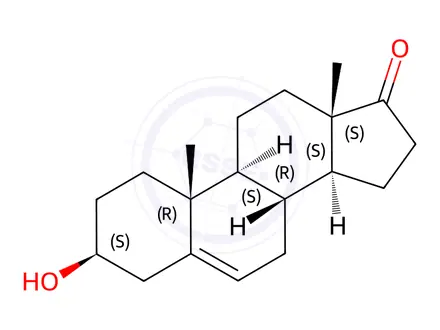 Chemical structure of Dehydroepiandrosterone (DHEA) in methanol