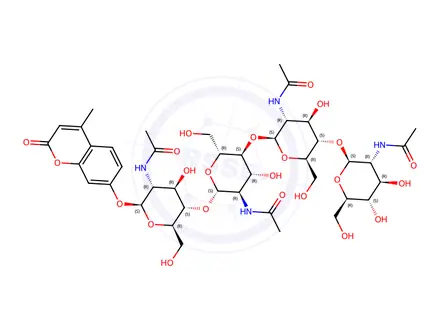Chemical structure of 4-Methylumbelliferyl N-N-N-N-tetraacetyl-β-D-chitotetraoside