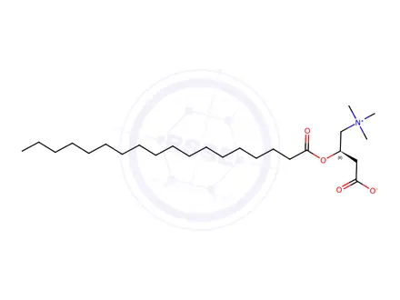 Chemical structure of (R)-3-(stearoyloxy)-4-(trimethylammonio)butanoate