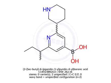 Chemical structure of (2-(Sec-butyl)-6-(piperidin-3-yl)pyridin-4-yl)boronic acid