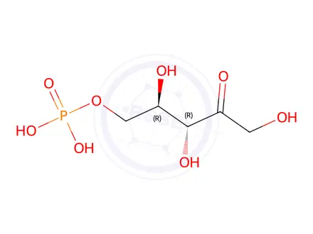Chemical structure of rel-(2R,3R)-2,3,5-Trihydroxy-4-oxopentyl dihydrogen phosphate