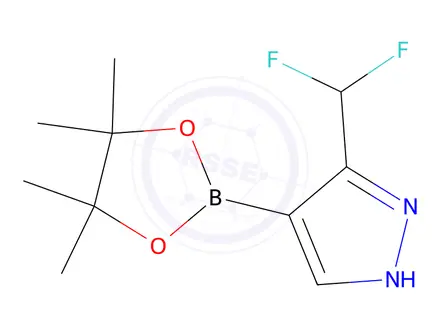 Chemical structure of 3-(difluoromethyl)-4-(4,4,5,5-tetramethyl-1,3,2-dioxaborolan-2-yl)-1H-pyrazole