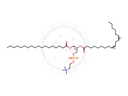 Chemical structure of 18:0-18:2 PC