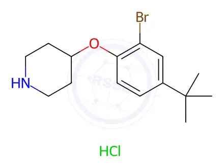 Chemical structure of 4-[2-Bromo-4-(tert-butyl)phenoxy]piperidine hydrochloride