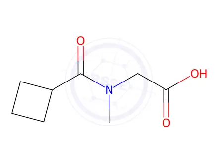 Chemical structure of 2-[(Cyclobutylcarbonyl)(methyl)amino]acetic acid