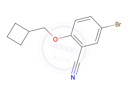Chemical structure of 5-Bromo-2-(cyclobutylmethoxy)benzonitrile