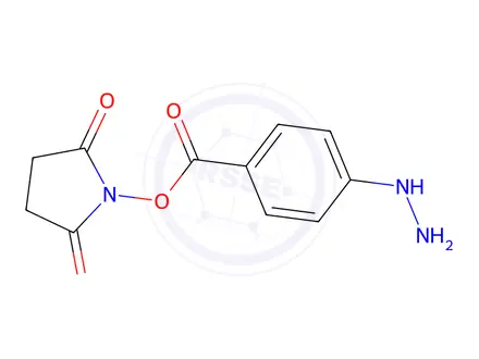 Chemical structure of succinimidyl 4-hydrazinobenzoate
