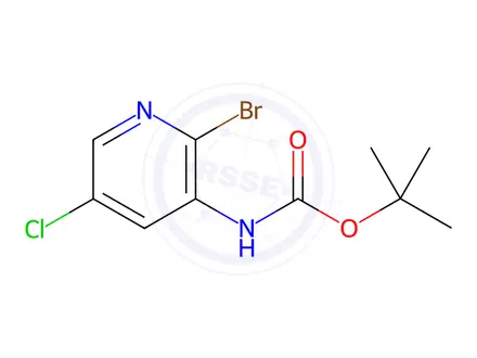 Chemical structure of Carbamic acid, N-(2-bromo-5-chloro-3-pyridinyl)-, 1,1-dimethylethyl ester