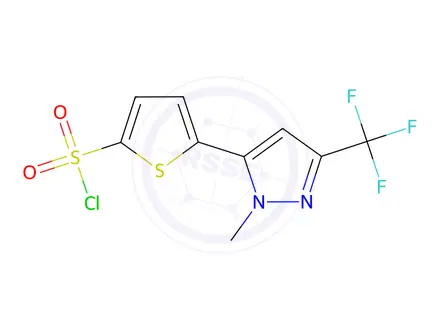 Chemical structure of 5-(1-Methyl-3-(trifluoromethyl)-1H-pyrazol-5-yl)thiophene-2-sulfonyl chloride