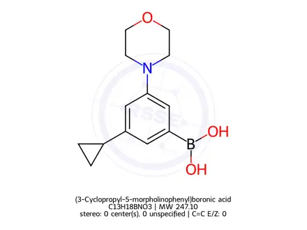 Chemical structure of (3-Cyclopropyl-5-morpholinophenyl)boronic acid