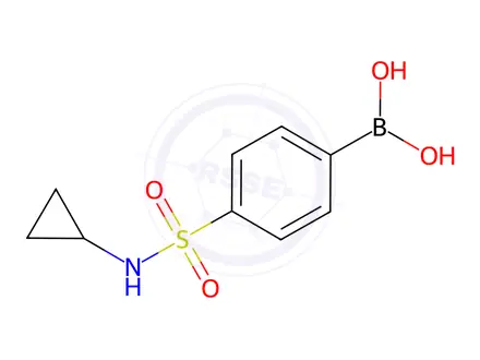 Chemical structure of N-Cyclopropyl 4-boronobenzenesulfonamide