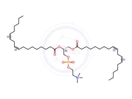 Chemical structure of 1,2-Dilinoleoy-SN-Glycero-3-Phosphocholine; L-Dilinole