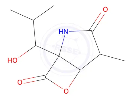 Chemical structure of Clasto-lactacystin (Omuralide)