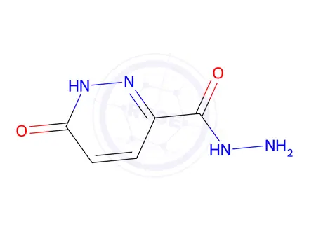 Chemical structure of 6-oxo-1,6-dihydropyridazine-3-carbohydrazide