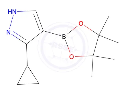 Chemical structure of 3-Cyclopropyl-4-(4,4,5,5-tetramethyl-1,3,2-dioxaborolan-2-yl)-1H-pyrazole
