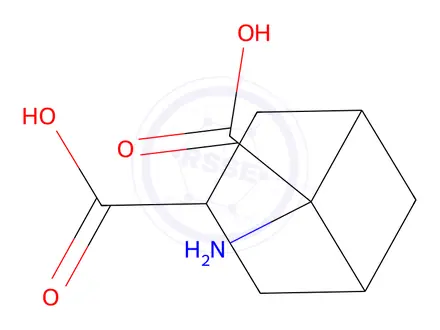 Chemical structure of 6-Aminobicyclo[3.1.1]heptane-3,6-dicarboxylic acid
