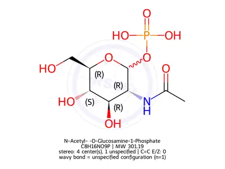 Chemical structure of N-Acetyl-α-D-Glucosamine-1-Phosphate