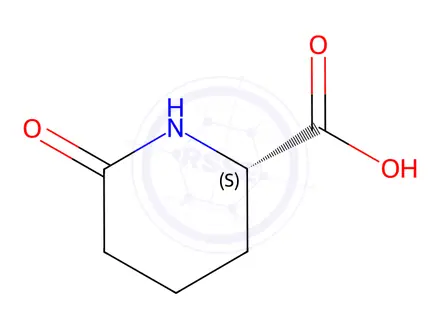Chemical structure of (S)-2-Piperidone-6-carboxylic acid