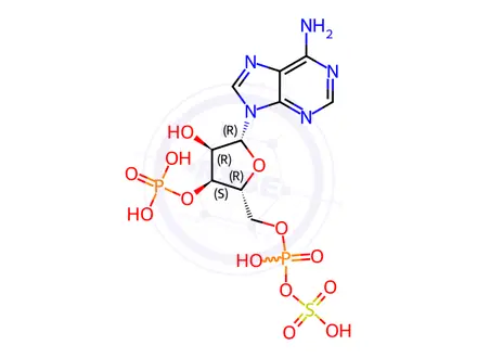 Chemical structure of Adenosine Impurity 120