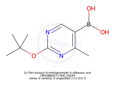 Chemical structure of (2-(Tert-butoxy)-4-methylpyrimidin-5-yl)boronic acid