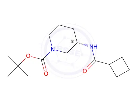 Chemical structure of (S)-tert-Butyl 3-cyclobutaneamidopiperidine-1-carboxylate