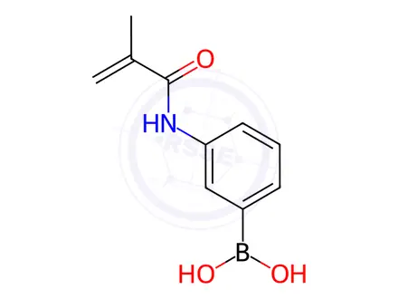 Chemical structure of 3-Methacrylamidophenylboronic Acid