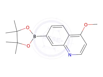 Chemical structure of 4-Methoxy-7-(4,4,5,5-tetramethyl-1,3,2-dioxaborolan-2-yl)quinoline