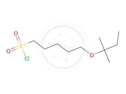 Chemical structure of 5-(Tert-pentyloxy)pentane-1-sulfonyl chloride