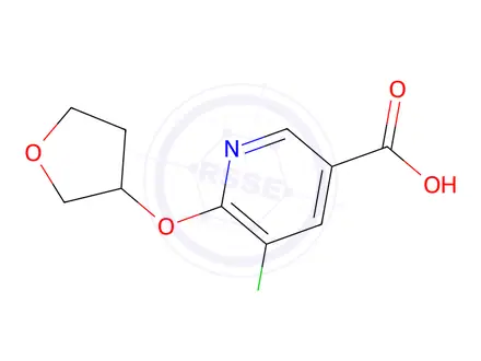Chemical structure of 5-chloro-6-(oxolan-3-yloxy)pyridine-3-carboxylic acid
