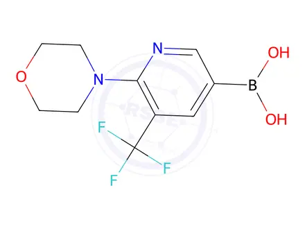 Chemical structure of 2-Morpholino-3-(trifluoromethyl)pyridine-5-boronic acid