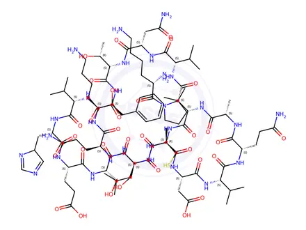 Chemical structure of bovine ribonuclease peptide (41-61)
