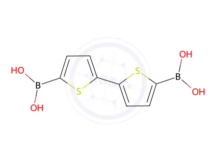 Chemical structure of [2,2'-Bithiophene]-5,5'-diyldiboronic acid
