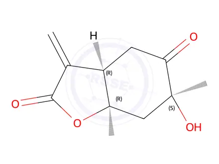 Chemical structure of Paeonilactone B