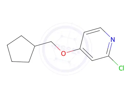 Chemical structure of 2-Chloro-4-(cyclopentylmethoxy)pyridine