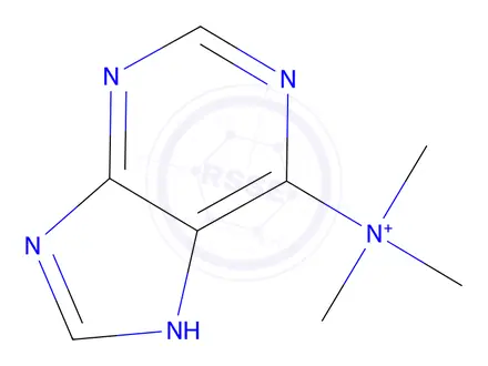 Chemical structure of TRIMETHYLPURIN-6-YL AMMONIUM CHLORIDE