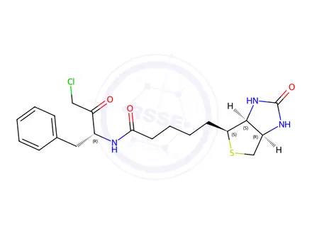 Chemical structure of biotinylphenylalanylchloromethane