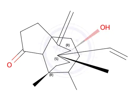 Chemical structure of Tiamulin impurity 19